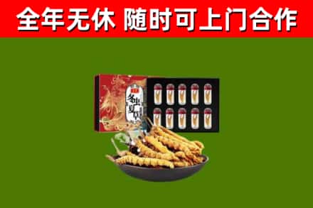 巴彦淖尔回收冬虫夏草价格